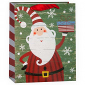 Пакет подарочный, Дед Мороз с подарком, Зеленый, с блестками, 23*18*10 см, 1 шт.