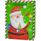Пакет подарочный, Дед Мороз с маленькой елочкой, Зеленый, с блестками, 23*18*10 см, 1 шт.