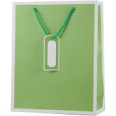 Пакет подарочный, Тонкие линии, Светло-зеленый, 32*26*10 см, 1 шт.